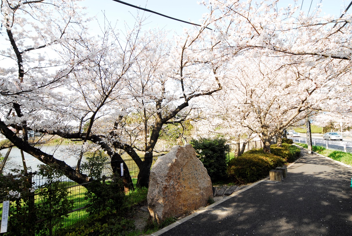 桧原桜の画像1