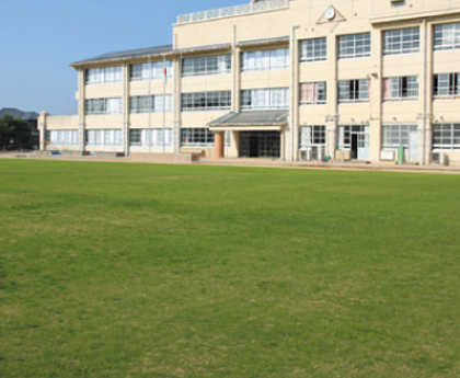 百道浜小学校運動場の芝生の画像1